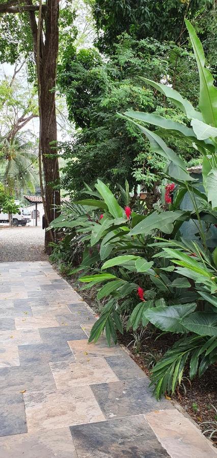 Tucan Hotel Uvita Exterior photo